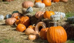 甜甜吃瓜了,揭秘娱乐圈最新热点事件