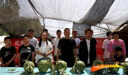 河北吃瓜配音,笑谈人间百态