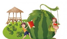 吃瓜守则齐司礼,揭秘吃瓜守则背后的趣味与智慧