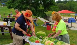 吃瓜比赛氛围建设,打造全民吃瓜盛宴的激情氛围