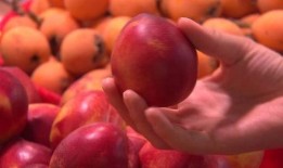 8.8吃瓜,揭秘娱乐圈那些不为人知的幕后故事