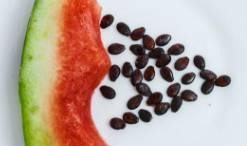 吃瓜吃瓜不吐籽,揭秘瓜界那些事儿