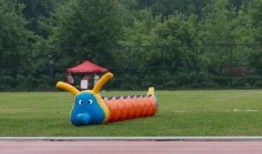 操场表面吃瓜,揭秘校园生活那些事儿