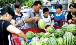 街边看吃瓜,品味人间烟火气