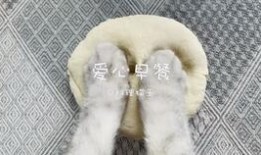 料理猫王吃瓜,美味与趣味并存