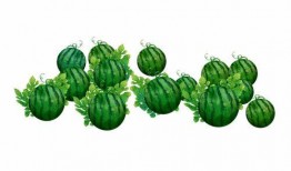 阿冉吃瓜,揭秘娱乐圈那些不为人知的幕后故事