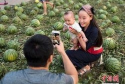 江川吃瓜群众,揭秘网络热议背后的真相与笑料