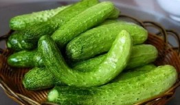 麻姑吃瓜,千年传说新篇章