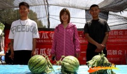 河北吃瓜配音,笑谈人间百态