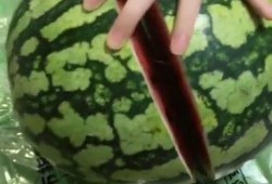 大半夜扭瓜怎么吃,创意瓜果夜宵攻略