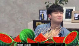 吃瓜群众秒变五瓜群众,从吃瓜群众到五瓜群众的华丽转身