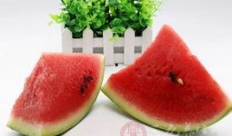 吃瓜止咳吗,揭秘瓜果在止咳方面的神奇功效