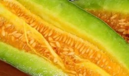 吃瓜软件动物名,揭秘吃瓜软件中的动物名趣闻