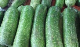 夏至吃哪三瓜,品味三瓜养生之道