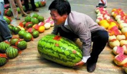 吃瓜比赛氛围建设,打造全民吃瓜盛宴的激情氛围