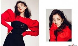 吃瓜少女三组,揭秘娱乐圈背后的故事与真相