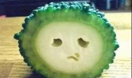 吃伊丽莎白瓜苦不苦,苦与不苦，一探究竟