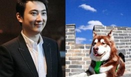 吃瓜少年阿飞微博,揭秘娱乐圈幕后故事