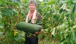 最劲爆的吃瓜,揭秘明星背后的惊人真相！