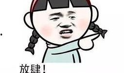 吃鸡瓜是不是,网络热词背后的文化现象