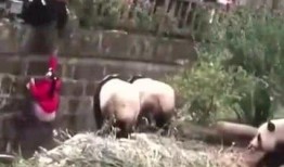 吃瓜群众秒变五瓜群众,从吃瓜群众到五瓜群众的华丽转身