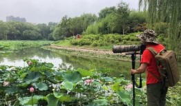 容东公园吃瓜,夏日休闲好去处