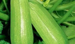 罗蒙吃瓜,揭秘娱乐圈背后的那些事儿