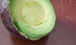 头像趴田里吃瓜,头像趴田里的悠闲时光