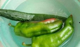 小孩吃鸡瓜做法,简单易学的鸡瓜制作方法