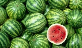 每日吃瓜热门咨询,盘点娱乐圈最新热点事件