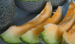 带你吃瓜奇怪骨头,揭秘网络热词背后的文化现象