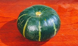 贝贝瓜蒸着吃还是煮着吃,蒸着吃还是煮着吃，营养美味大不同