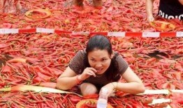 深圳湖南妹吃瓜,揭秘美食背后的故事