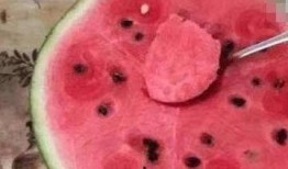 什么叫吃别人的瓜,揭秘“吃瓜群众”背后的心理奥秘