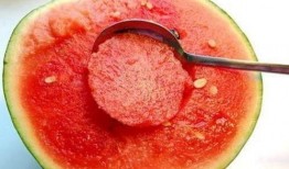 吃瓜吃不全,吃瓜吃不全，真相大揭秘