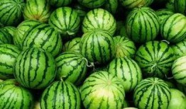 现在有什么吃瓜群,吃瓜群里的热点事件大盘点