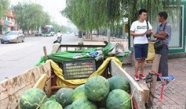 街边看吃瓜,品味人间烟火气