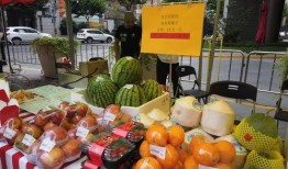 精彩节目吃瓜,跟随“吃瓜群众”探寻精彩节目背后的故事