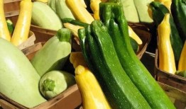 保定幼专吃瓜,一场“吃瓜”事件的背后真相