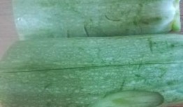 葫芦瓜蒸多久熟了吃,葫芦瓜蒸至恰到好处的烹饪时间揭秘