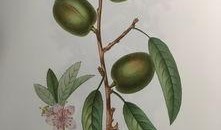 背面吃瓜,一场别开生面的网络狂欢