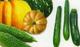 阿秋吃瓜,揭秘娱乐圈那些不为人知的幕后故事