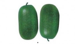 吃瓜群众冬瓜怎么拍,吃瓜群众如何轻松上手