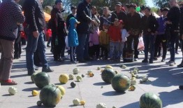 吃瓜比赛氛围建设,打造全民吃瓜盛宴的激情氛围