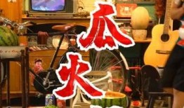 带你吃瓜之火锅篇,火锅篇，揭秘麻辣鲜香背后的故事