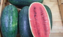 吃瓜海南所有食物