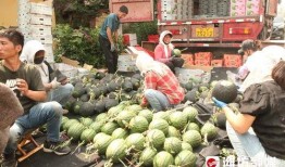 边吃瓜边逛景区,畅享夏日休闲之旅