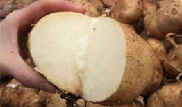 在土瓜湾吃土瓜怎么样,地道风味，回味无穷