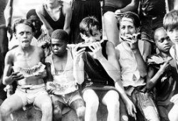 吃瓜摄像,揭秘吃瓜摄像背后的趣味与真相