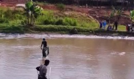 吃瓜捉鱼,揭秘网络热词背后的趣味与智慧